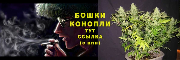 прущие грибы Волосово