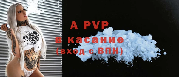 прущие грибы Волосово