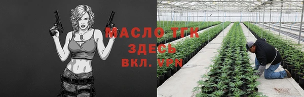 прущие грибы Волосово
