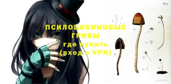 прущие грибы Волосово