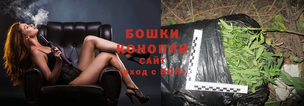 прущие грибы Волосово