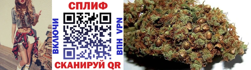 Шишки марихуана индика  omg как зайти  Магнитогорск 